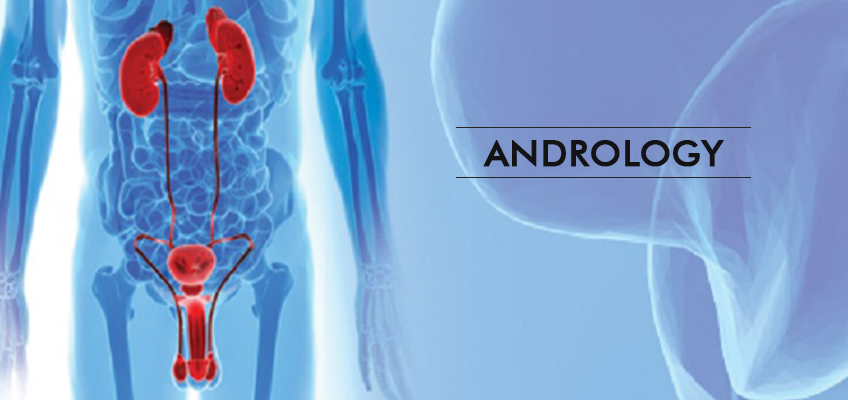 Andrology is a branch of urology concerned with men's health, particul...